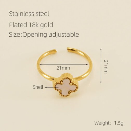 Heart-shaped Stainless Steel Ring Female Niche – Image 9